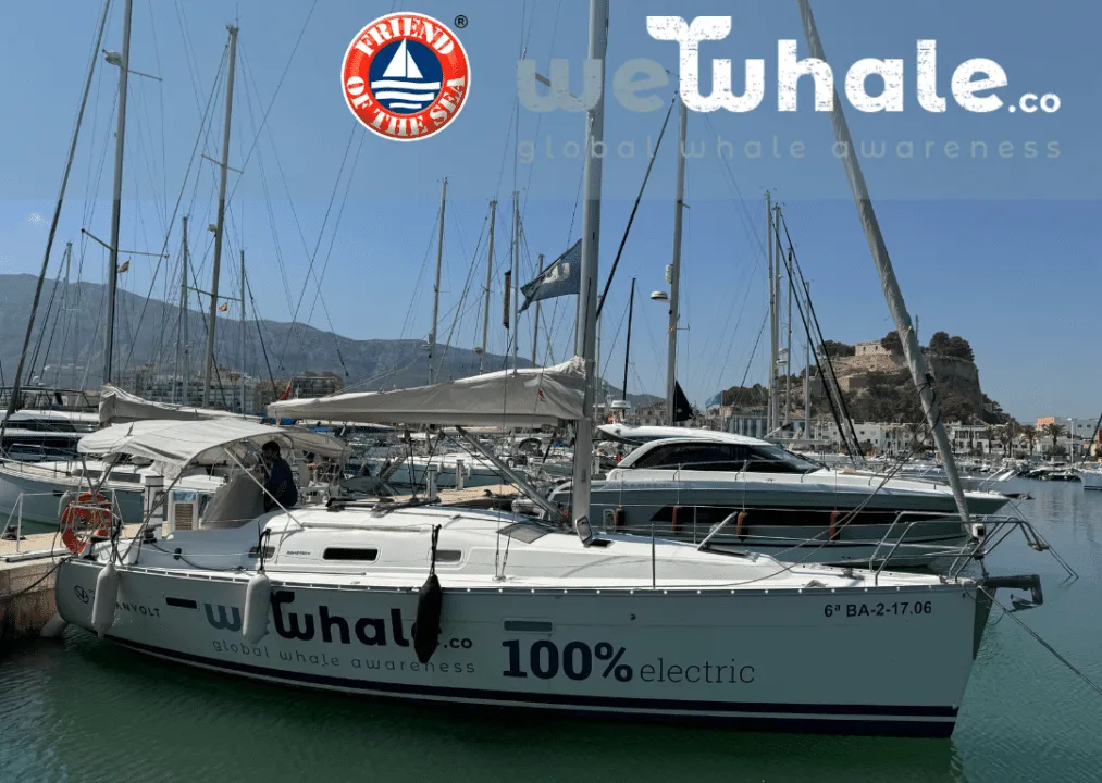 From Innovation to Conservation: WeWhale Awarded Friend of the Sea Certification